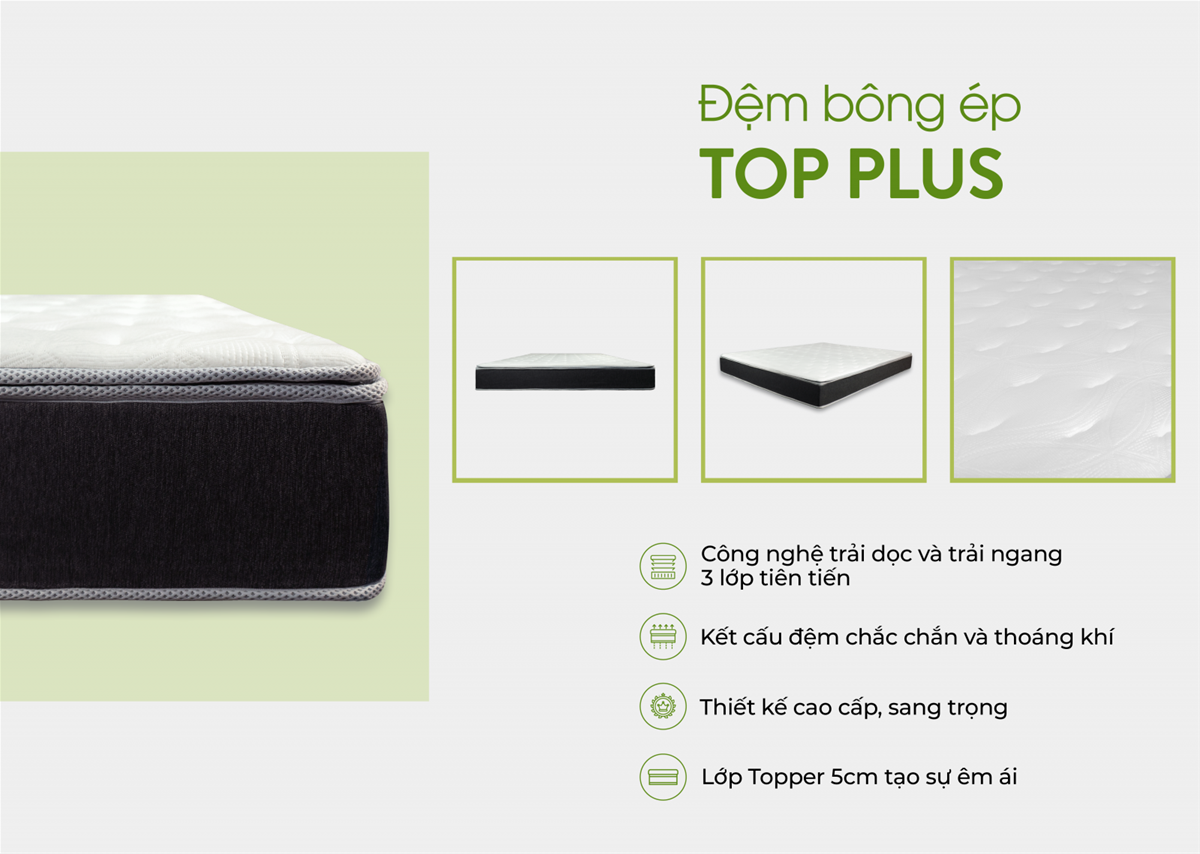 Đệm bông ép Everon