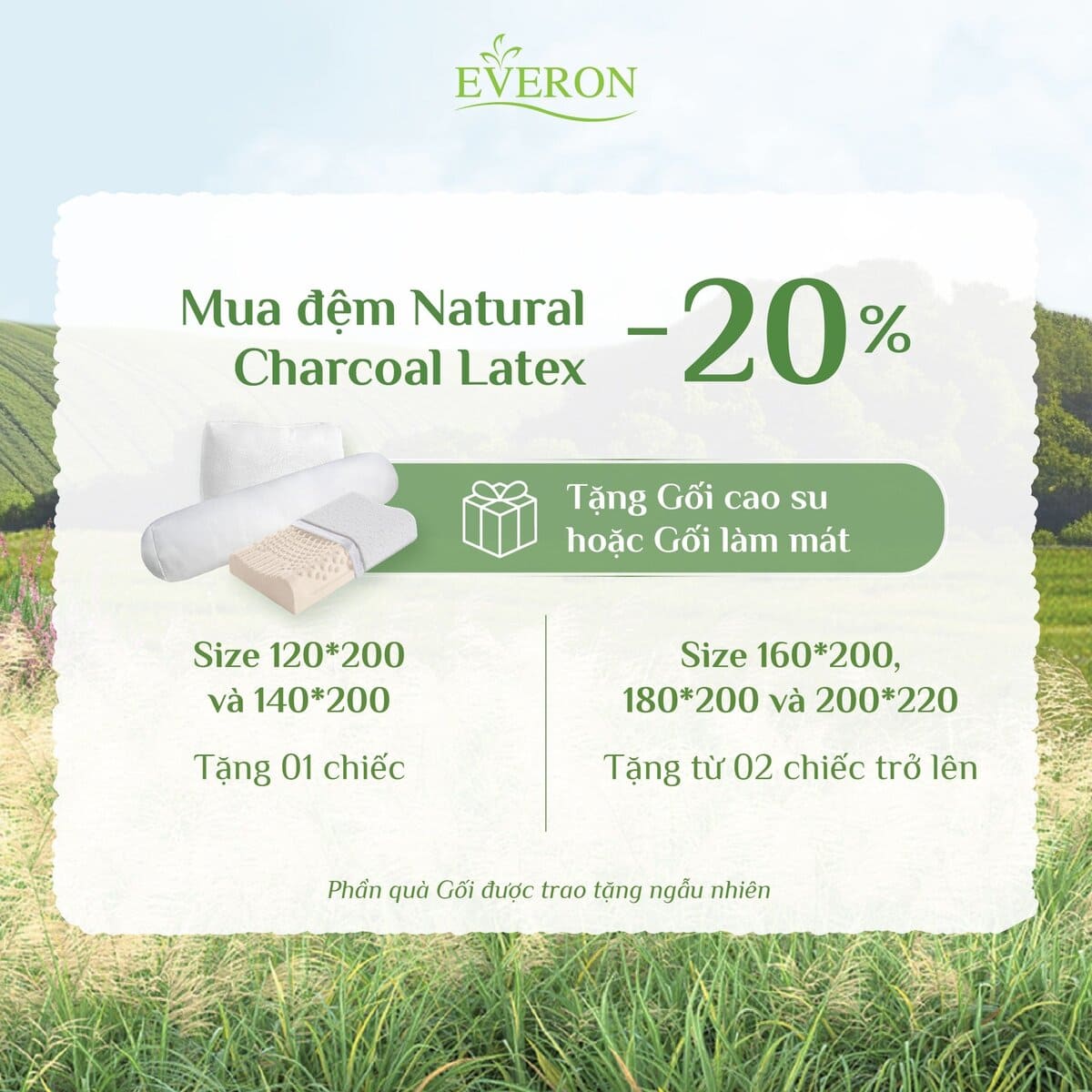dem-cao-su-natural-charcoal-latex