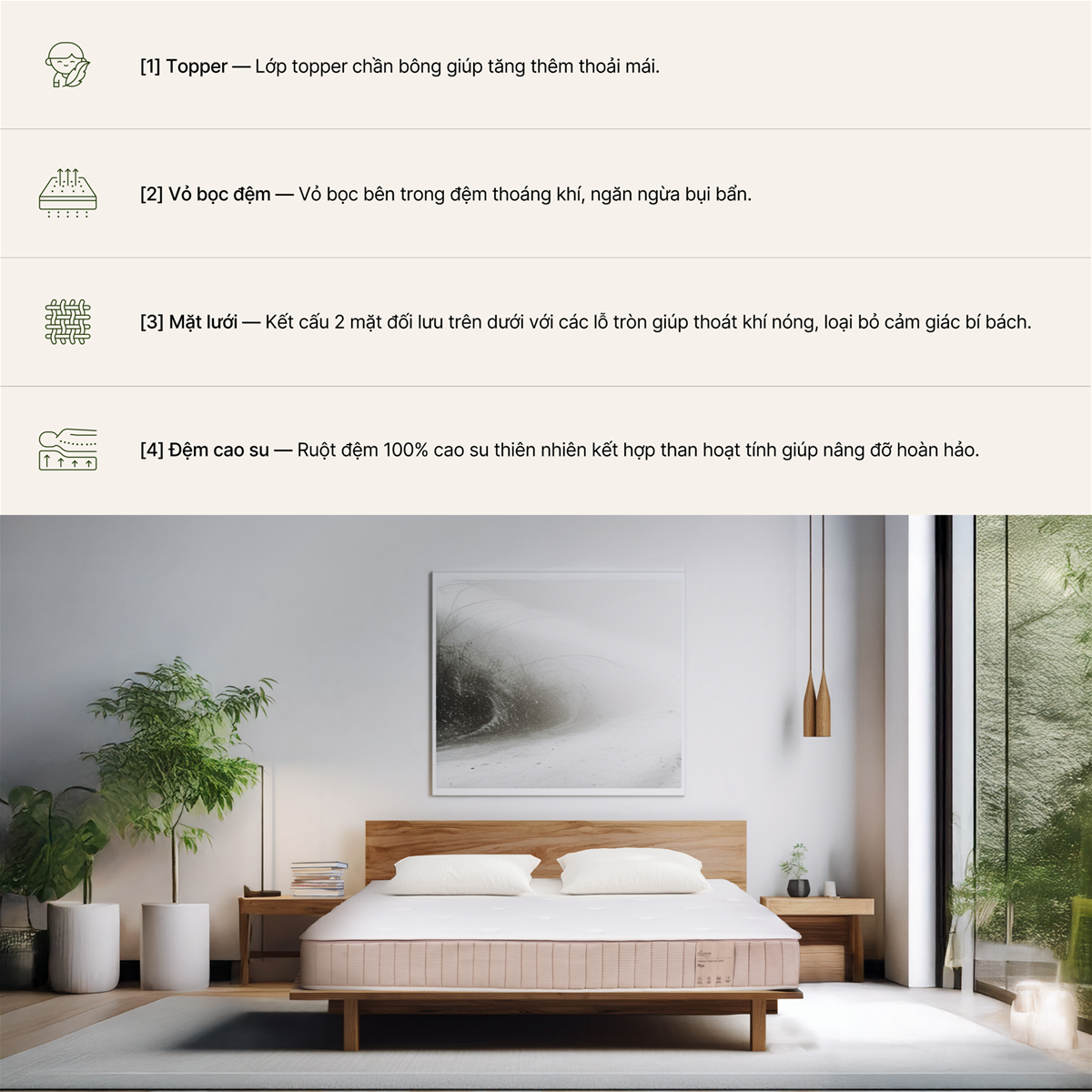 Đệm cao su Natural Charcoal Latex Plus