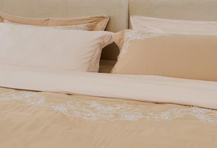 Bộ Sưu Tập Everon 2025 Mới Nhất: Bảng Giá & Review Chi Tiết Các Mẫu 