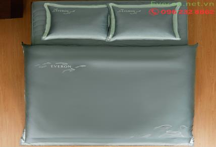 Đệm Than Hoạt Tính Everon: 5 Lợi Ích "Vàng" Cho Sức Khỏe Mà Bạn Chưa Biết