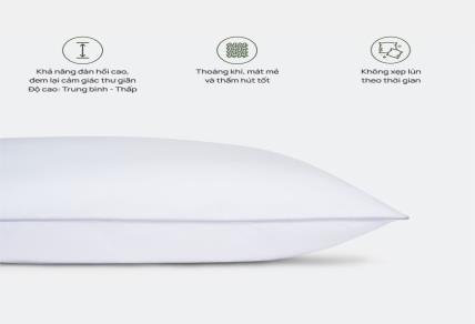 Bảng Giá Ruột Gối Everon Chính Hãng 2026 | Mua Ở Đâu Tại Hà Nội?