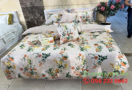 Top Mẫu Chăn Ga Everon Đón Tết 2026: Rước Lộc Vào Nhà, Cả Năm Phú Quý