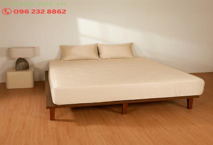 Sợi Tencel: "Vải Sinh Học" Từ Gỗ Bạch Đàn – Nâng Tầm Giấc Ngủ Với Sự Mát Lạnh & Mềm Mại Bền Vững