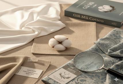 Giải Mã Về Cotton: Từ Sợi Tự Nhiên Thuần Khiết Đến Đẳng Cấp Dệt Cao – Lựa Chọn Nền Tảng Cho Giấc Ngủ